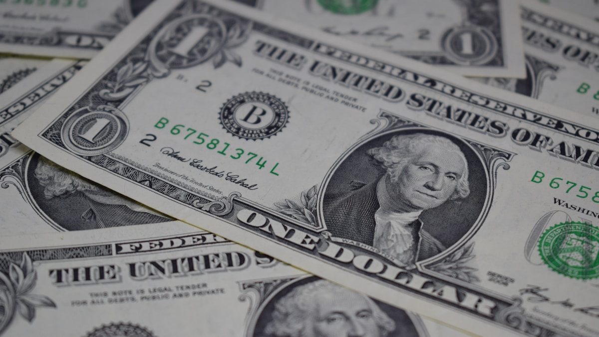 altın mı dolar mı rehberi - altın mı dolar mı