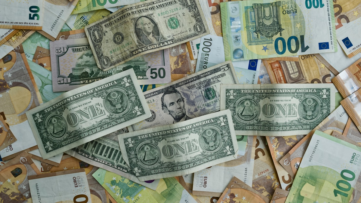 dolar mı euro mu