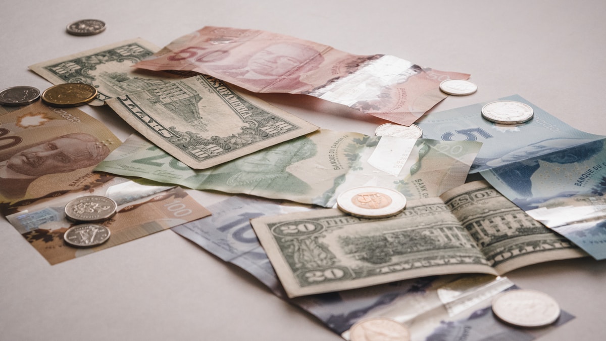 Merkez Bankası faiz kararı