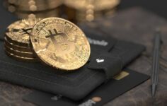 En İyi Bitcoin Cüzdanı 2026: Soğuk Cüzdan mı Sıcak mı?