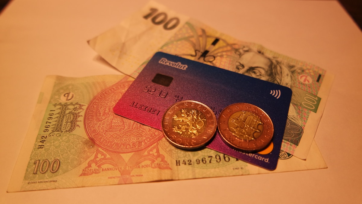 euro mu dolar mı rehberi - euro mu dolar mı